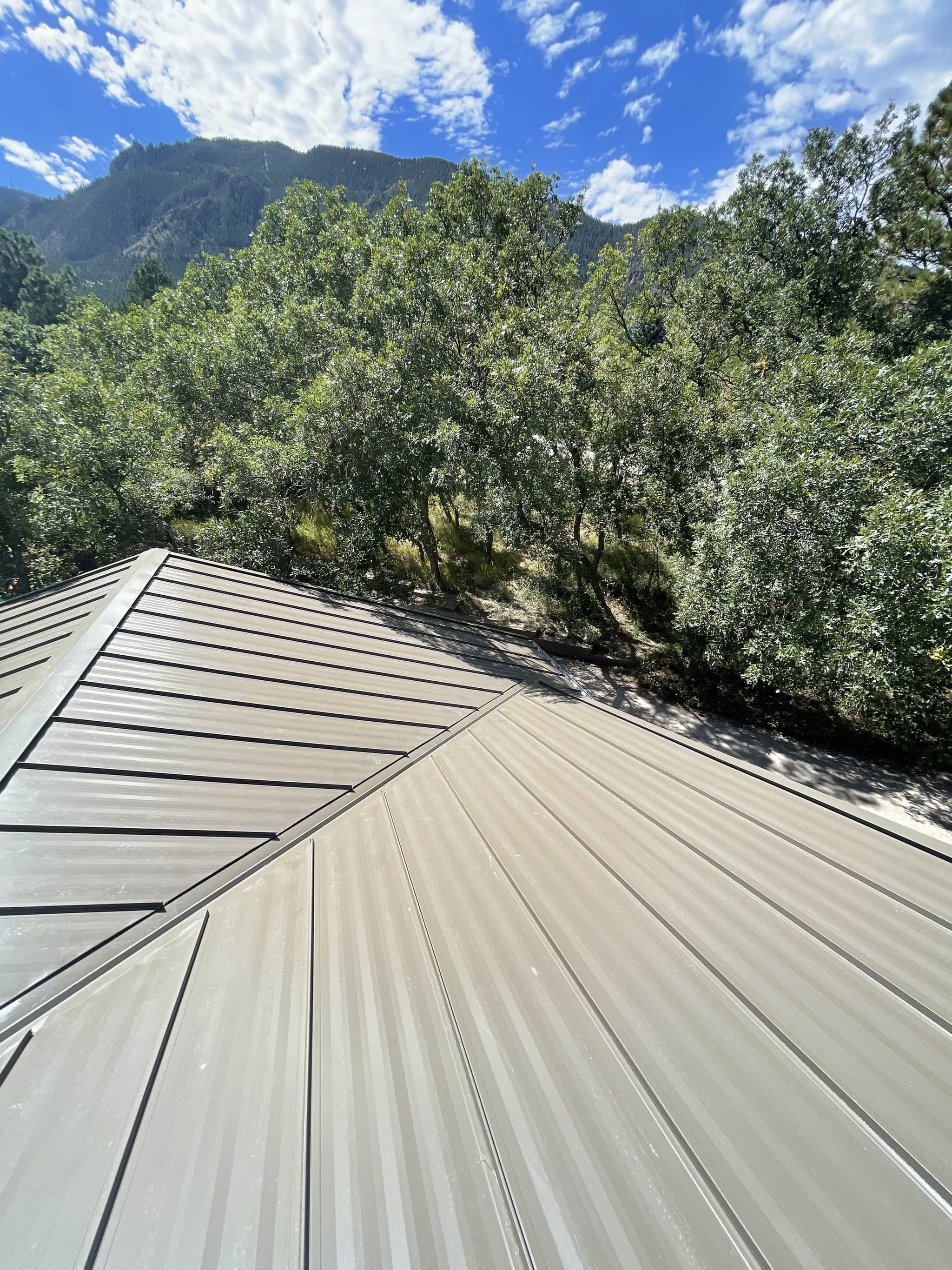 Metal roof project