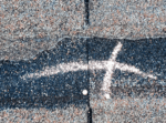 hail damaged shingle