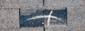 hail damaged shingle