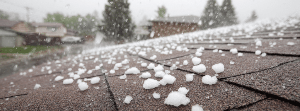 hail on shingle roof