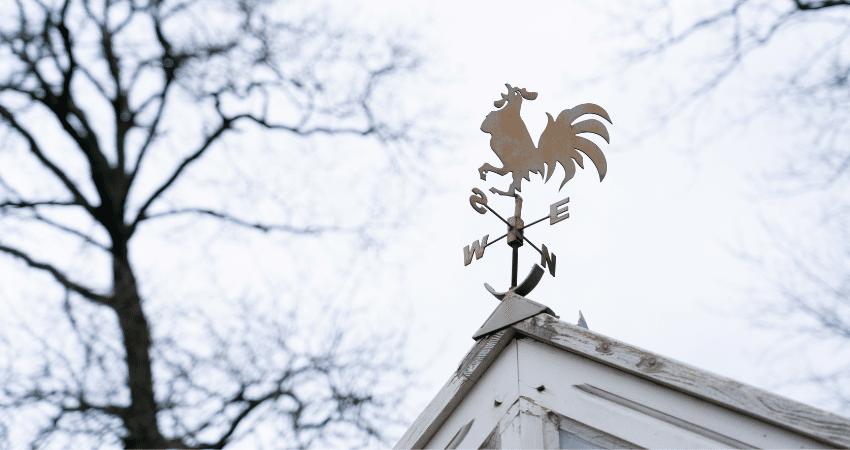 Wind indicator